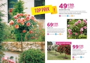 Promos Cadeau dans le catalogue "LA SEMAINE DE LA Rose" de Delbard à la page 6