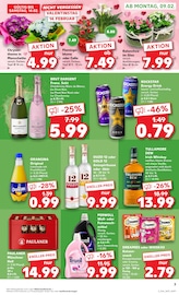 Aktueller Kaufland Prospekt mit Sekt, "KNÜLLER", Seite 3