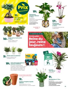 Promo Orchidée dans le catalogue Truffaut du moment à la page 9