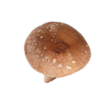 Kaufland Pirmasens - Shiitake-Pilze Angebot im Prospekt Shiitake-Pilze bei Kaufland im Pirmasens Prospekt für 1,99 €