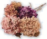 Foire à la tige artificielle en promo chez Super U Nantes à 2,49 €