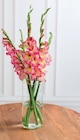 Bouquet de 5 glaïeuls - Super U à Mérignac Bouquet de 5 glaïeuls en promo chez Super U Mérignac à 4,99 €