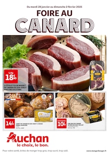 Prospectus Auchan Hypermarché de la semaine "FOIRE AU CANARD" avec 1 pages, valide du 28/01/2025 au 02/02/2025 pour Bordeaux et alentours