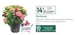 Hortensia - Botanic à Clermont-Ferrand Hortensia en promo chez Botanic Clermont-Ferrand à 14,99 €