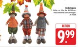 Herbstfiguren im Angebot bei EDEKA in Görlitz Herbstfiguren Angebote bei EDEKA Görlitz für 9,99 €