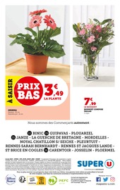 Fleurs Angebote im Prospekt "Le marché à prix bas !" von Super U auf Seite 18