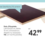 Sieb-/Filmplatte Angebote bei Hellweg Langenhagen für 118,00 €