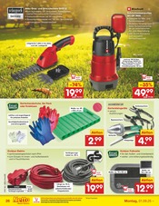Teppich im Netto Marken-Discount Prospekt in Kassel Aktueller Netto Marken-Discount Prospekt mit Teppich, "Aktuelle Angebote", Seite 36