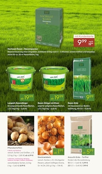 Eis im aktuellen Pflanzen Kölle Prospekt (Fürth) Eis im Pflanzen Kölle Prospekt "WELTFRAUENTAG" mit 20 Seiten (Fürth)