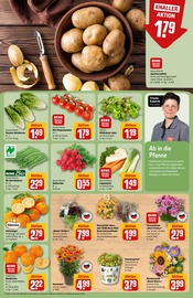 Kartoffeln im REWE Prospekt in Laatzen Aktueller REWE Prospekt mit Kartoffeln, "Dein Markt", Seite 7