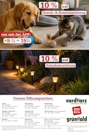 Beleuchtung im Garten-Center Nordharz GmbH & Co. KG Prospekt in Kassel Aktueller Garten-Center Nordharz GmbH & Co. KG Prospekt mit Beleuchtung, "SUMMER'S END", Seite 12