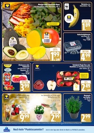 Deko im Marktkauf Prospekt Deko im Marktkauf Prospekt Top Angebote auf S. 10