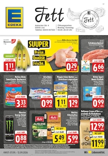 Aktueller EDEKA Prospekt "Aktuelle Angebote" Aktueller EDEKA Prospekt