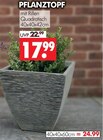 Pflanztopf  40x40x42cm im aktuellen Prospekt bei Wreesmann in Höhnstedt