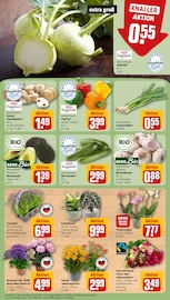 Aktueller REWE Prospekt mit Hortensie, "Dein Markt", Seite 9