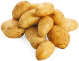 Spargel-Kartoffeln bei REWE im Rimpar Prospekt für 1,89 €