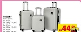Trolley Angebote bei E center Trier für 44,00 €