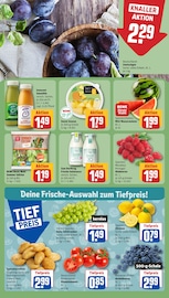 Ähnliche Angebote wie Kürbis im Prospekt "Dein Markt" auf Seite 6 von REWE in Memmingen