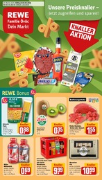 REWE Prospekt für Bad Salzdetfurth mit 32 Seiten REWE Prospekt "Dein Markt" für Bad Salzdetfurth, 32 Seiten, 30.06.2025 - 05.07.2025