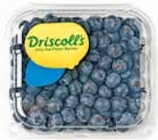 Heidelbeeren von Driscoll's für 1,49 € bei Netto mit dem Scottie im Angebot Heidelbeeren von Driscoll's im aktuellen Netto mit dem Scottie Prospekt