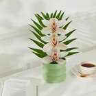 Promo Orchidée 3 fleurons céramique (h) à 8,99 € dans le catalogue Carrefour Market ""