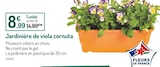 Promo Jardinière de viola cornuta à 8,99 € dans le catalogue Botanic à Le Pontet