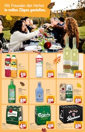 Gin Angebot & Preis im aktuellen REWE Prospekt Gin Angebot im aktuellen REWE Prospekt auf Seite 19