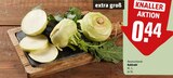 Aktuelle Gemüse Angebote bei REWE in Ludwigshafen (Rhein) Aktuelles Kohlrabi Angebot bei REWE in Ludwigshafen (Rhein) ab 0,44 €