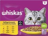 Multipack Portionsbeutel von Whiskas im aktuellen famila Nordwest Prospekt