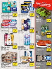 Aktueller EDEKA Prospekt mit Nivea, "Aktuelle Angebote", Seite 13