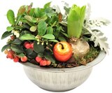 Herbstarrangement Angebote bei REWE Hofheim für 7,99 €