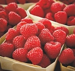 Fruits rouges dans le catalogue Netto