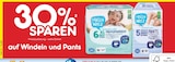 XL Premiumwindeln im Angebot bei Netto Marken-Discount in Landshut XL Premiumwindeln Angebote von Hallo Welt bei Netto Marken-Discount Landshut