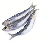 Sardine - Supermarchés Match à Villeneuve-d'Ascq Sardine en promo chez Supermarchés Match Villeneuve-d'Ascq à 3,99 €