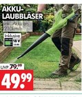 AKKU-LAUBBLÄSER im Angebot bei Wreesmann in Dessau-Roßlau AKKU-LAUBBLÄSER Angebote bei Wreesmann Dessau-Roßlau für 49,99 €