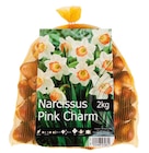 Lidl Linden - Narzissen-Blumenzwiebeln Angebot im Prospekt Narzissen-Blumenzwiebeln bei Lidl im Linden Prospekt für 6,99 €