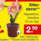 Aktuelles Rittersterne Angebot bei Zimmermann in Wolfsburg ab 2,99 €