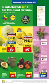 Aktueller Lidl Prospekt mit Orchidee, "LIDL LOHNT SICH", Seite 50