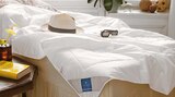 Aktuelle Bett Angebote bei Möbel Martin in Mainz Aktuelles Bettwaren-Serie Angebot bei Möbel Martin in Mainz ab 89,95 €