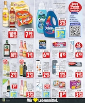 Coral Angebote im Prospekt "Aktuelle Angebote" von EDEKA auf Seite 18
