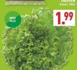 Endivien im Angebot bei Marktkauf in Hagen Endivien Angebote bei Marktkauf Hagen für 1,99 €