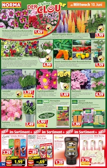 Norma Dnger Angebot  Finde den Preis im aktuellen Prospekt