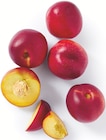 Supermarchés Match Wissembourg - Promo Nectarine Promo Nectarine à 3,59 € dans le catalogue Supermarchés Match à Wissembourg