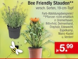 Bee Friendly Stauden im Angebot bei Zimmermann in Nordhorn Bee Friendly Stauden Angebote bei Zimmermann Nordhorn für 5,99 €