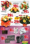 Chrysanthèmes Chrysanthèmes