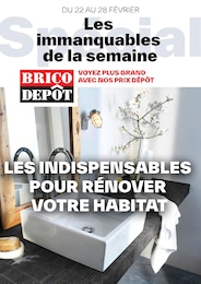 Prospectus Brico Dépôt à Vaulx-en-Velin: "Les immanquables de la semaine", 1} page, 22/02/2024 - 28/02/2024
