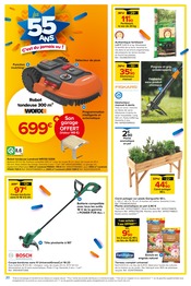 Promos Bordure dans le catalogue "C - Les 55 ans" de Castorama à la page 20