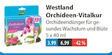 Orchideen-Vitalkur von Westland im aktuellen V-Markt Prospekt für 3,99 €