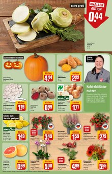 Pflanzen im aktuellen REWE Prospekt (Jena) Pflanzen im REWE Prospekt "Dein Markt" mit 34 Seiten (Jena)