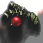 Deluxe ASC Tapas Garnelen Angebote von Sansibar bei Lidl Kamp-Lintfort für 1,99 €